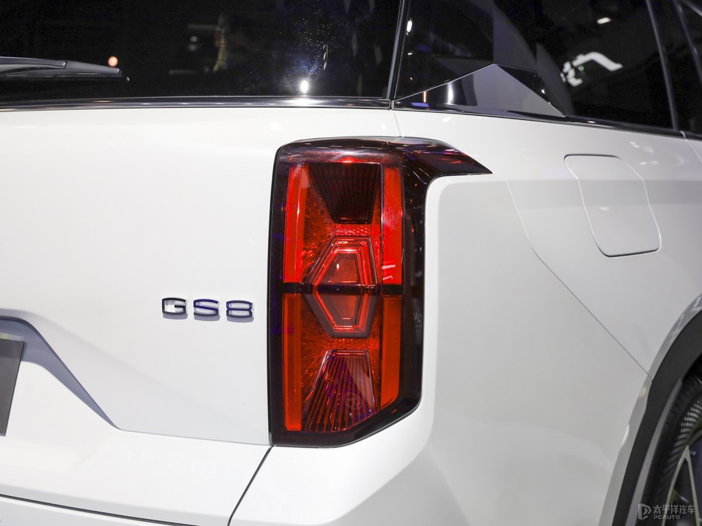 GS8DƬ