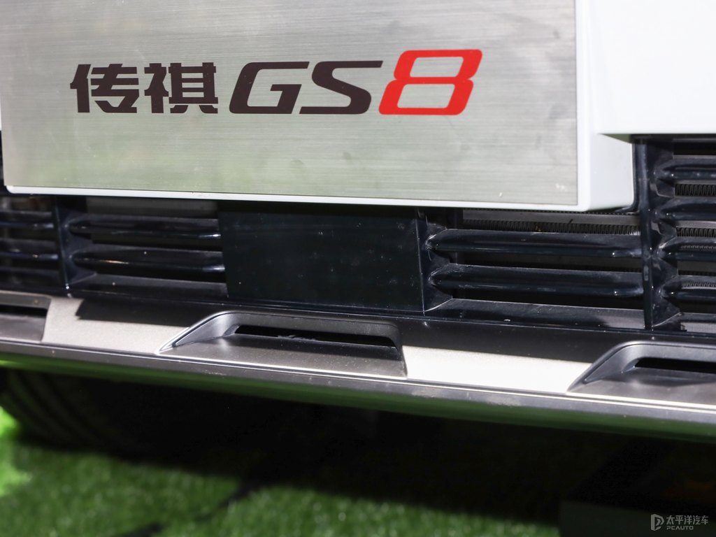GS8DƬ