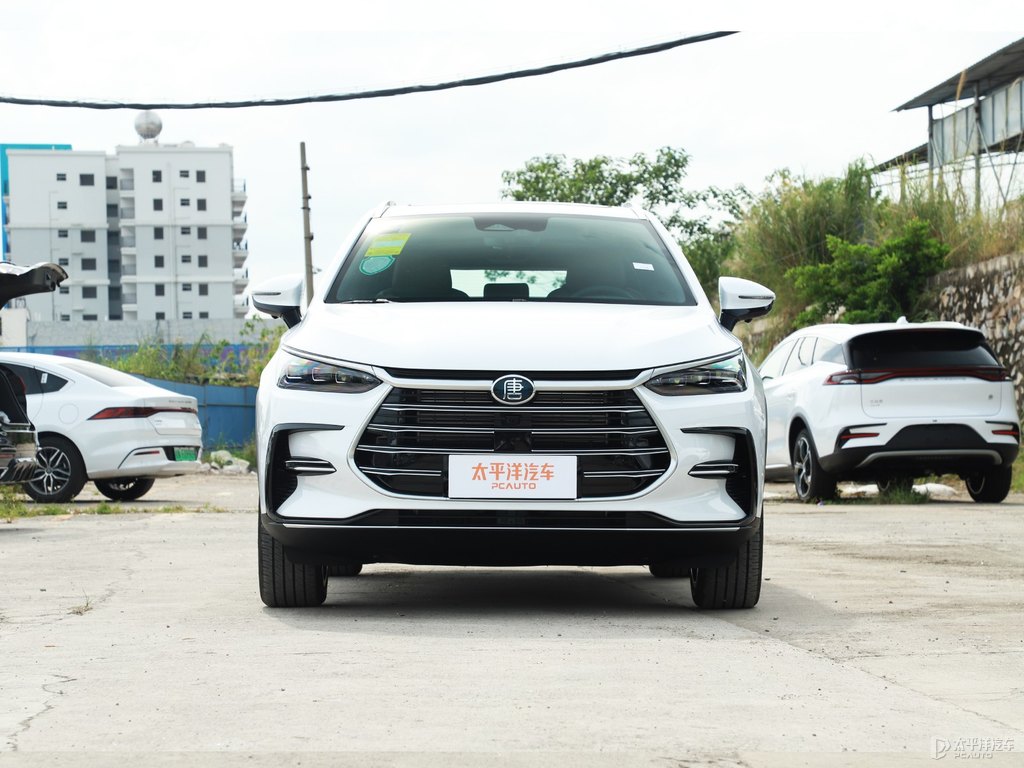 雪域白唐新能源整車外觀外觀圖片