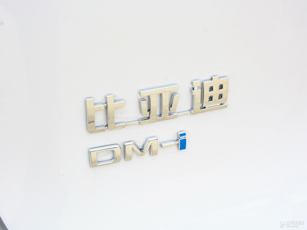 雪域白唐新能源車(chē)尾外觀圖片