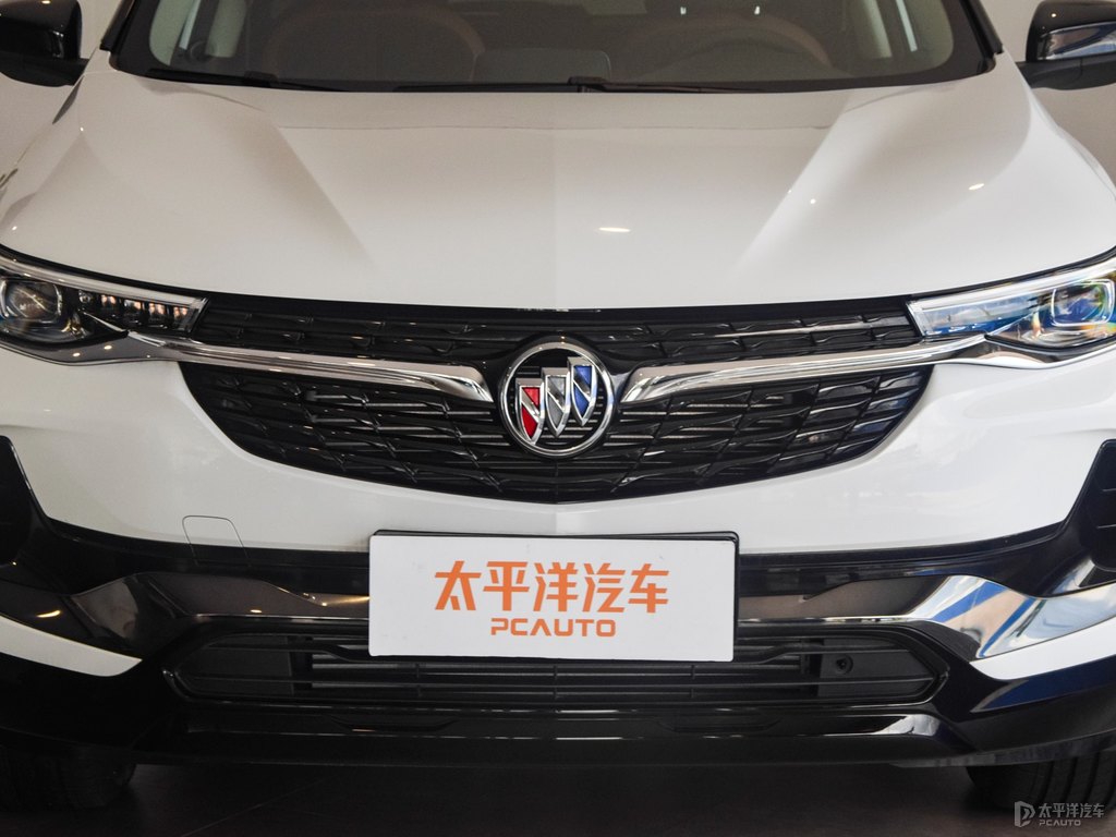 雪域白昂科拉車(chē)頭外觀圖片