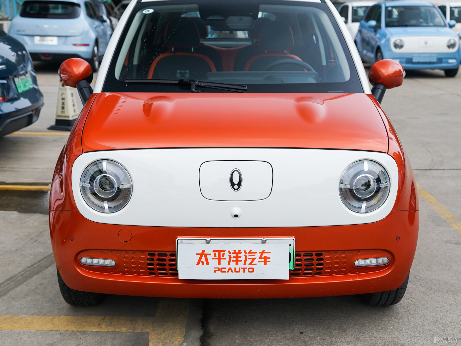 歐拉黑貓外觀高清大圖