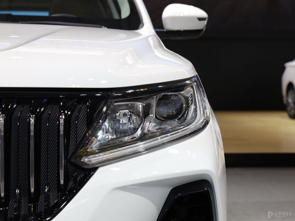 漢玉白遠(yuǎn)景X6車頭外觀圖片