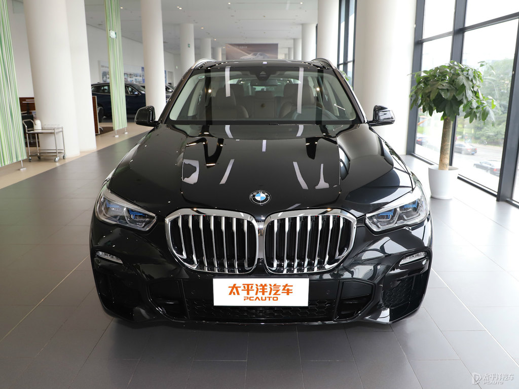寶石青寶馬X5(進口)整車外觀外觀圖片