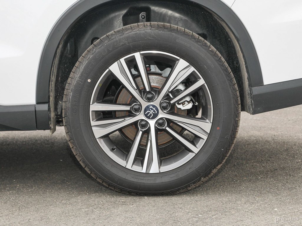 雪域白宋Pro車身外觀圖片