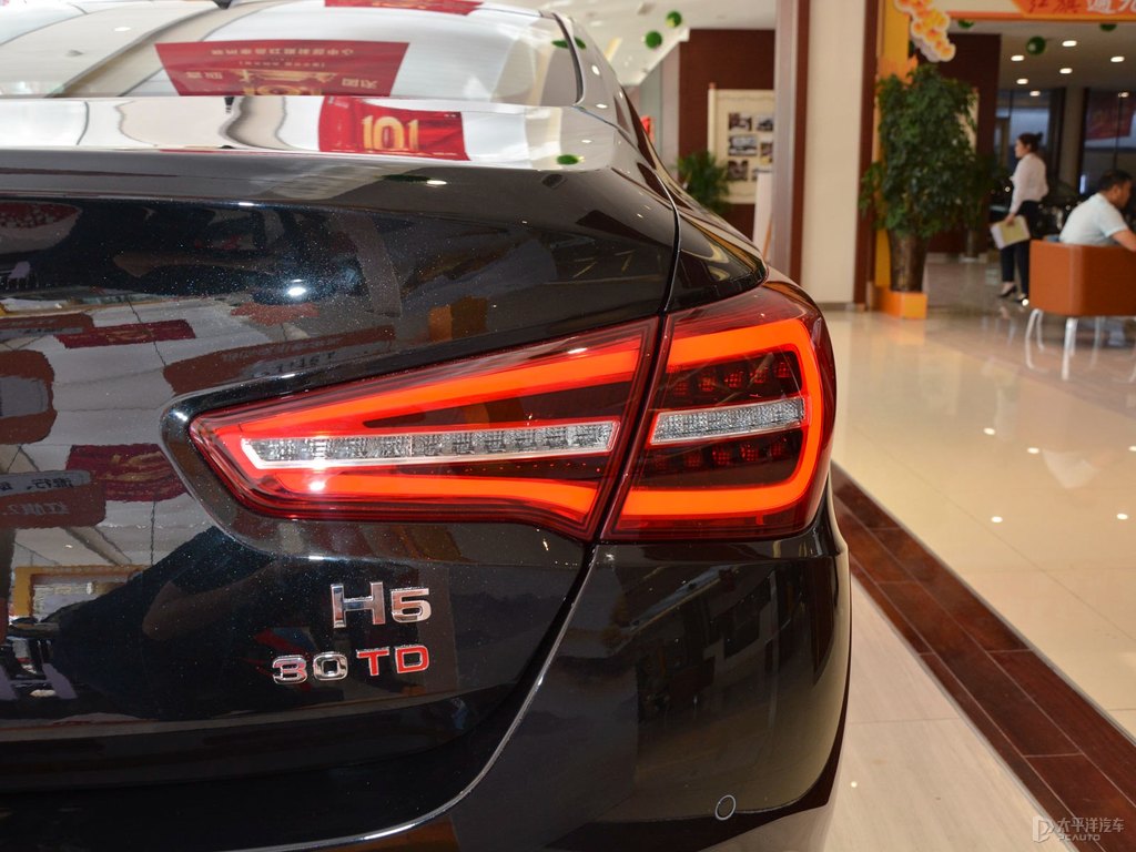 極夜黑紅旗H5經(jīng)典車尾外觀圖片