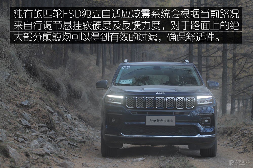 大指揮官圖片