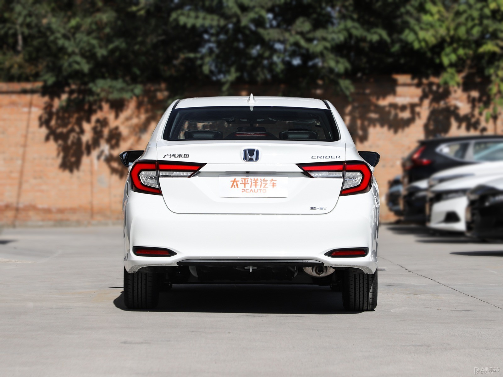 塔夫綢白凌派整車外觀外觀圖片