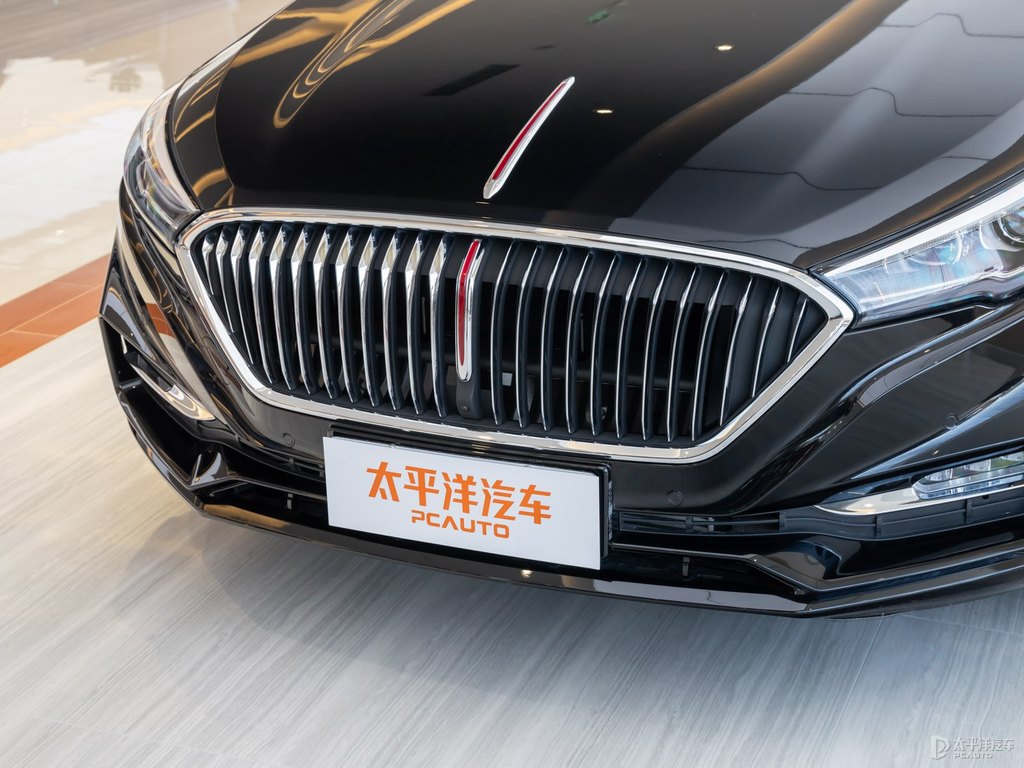 極夜黑紅旗H5經(jīng)典車頭外觀圖片