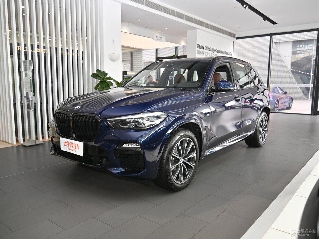 丹泉石藍(lán)寶馬X5(進(jìn)口)整車外觀外觀圖片