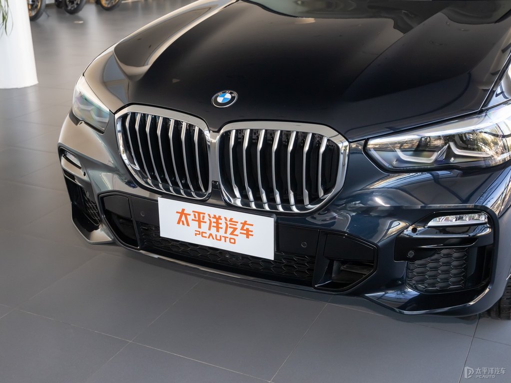 碳黑寶馬X5(進口)車頭外觀圖片