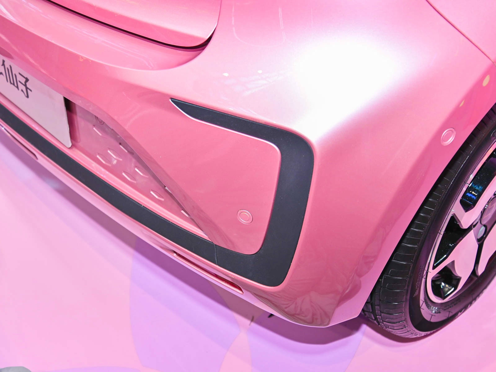 思皓花仙子車展高清大圖