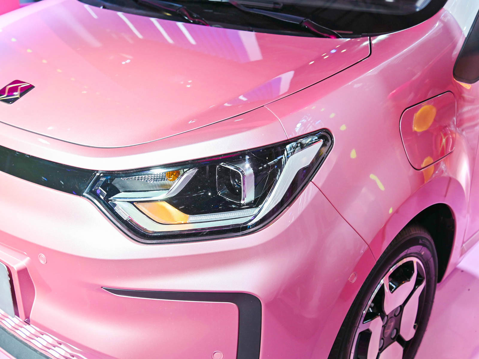 思皓花仙子車(chē)展高清大圖