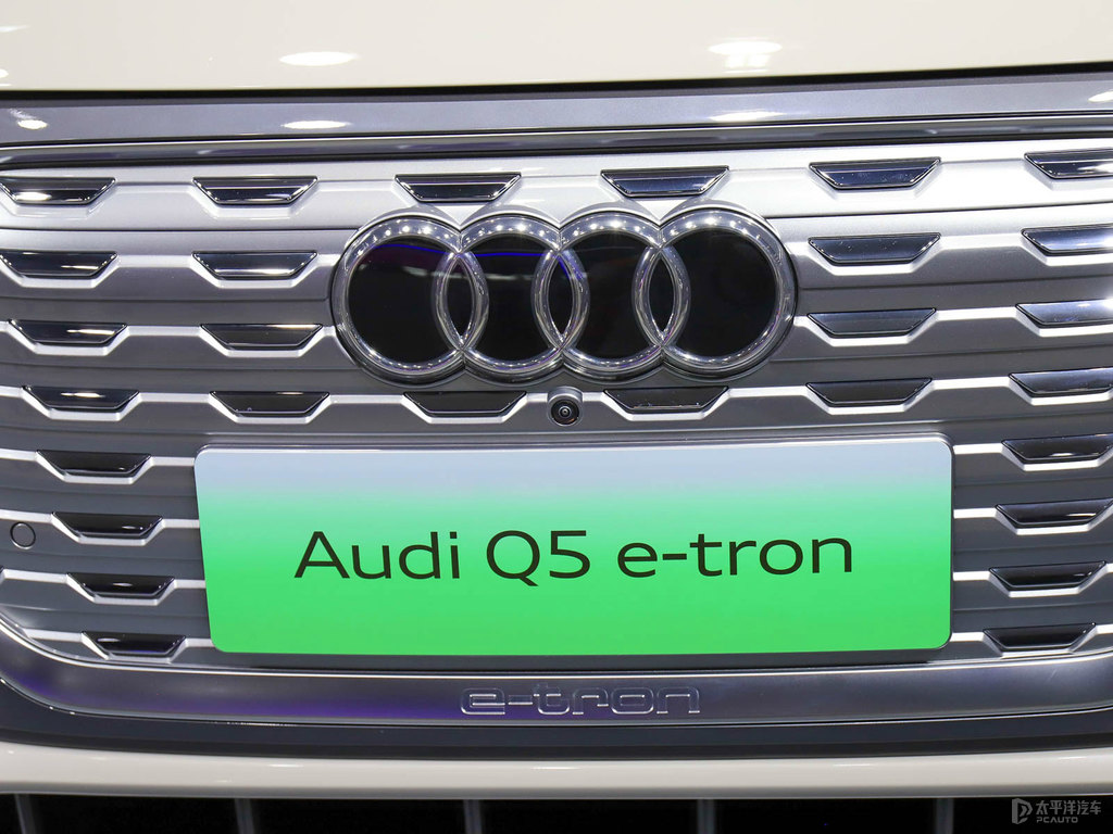 WQ5 e-tronDƬ