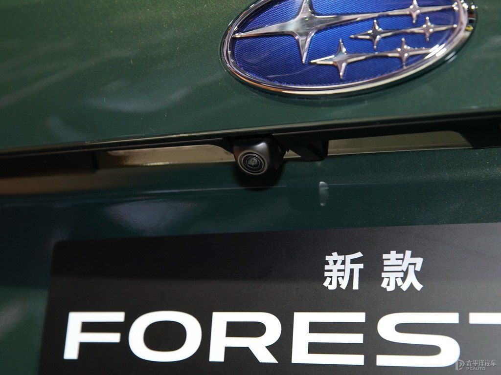 原野深邃綠森林人車尾外觀圖片