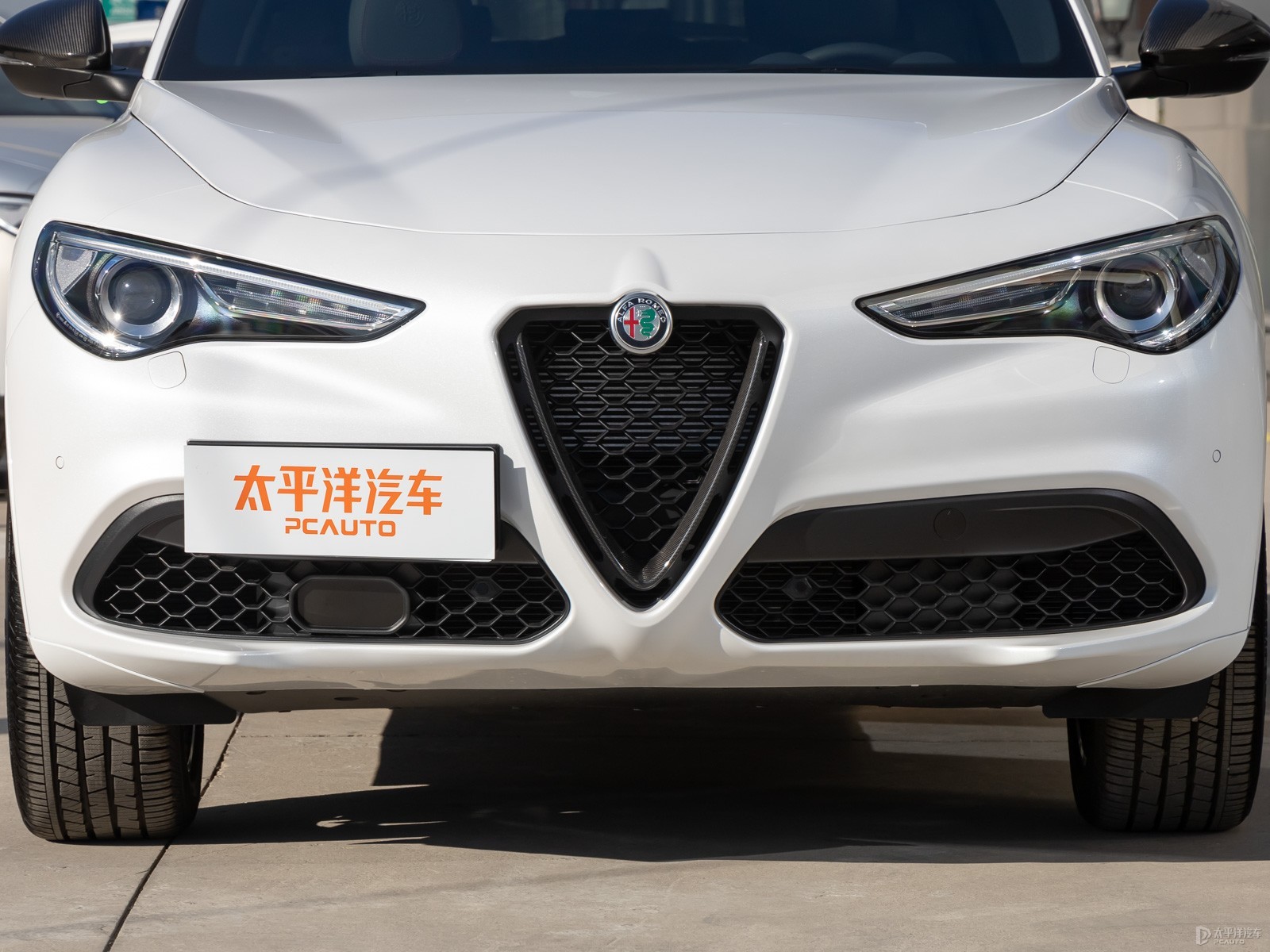 Stelvio斯坦維外觀高清大圖