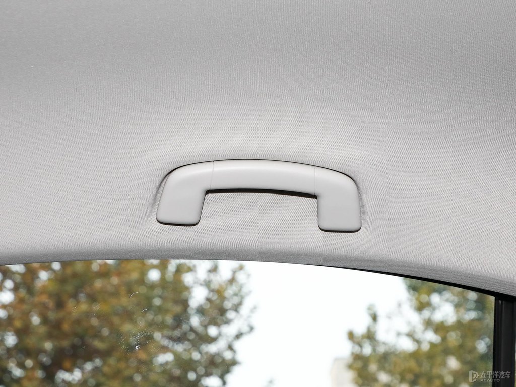 極地白寶來車廂內飾圖片
