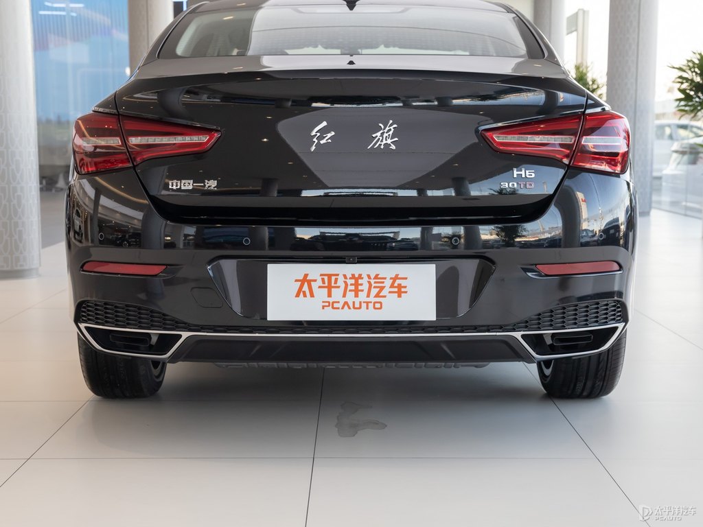 極夜黑紅旗H5經(jīng)典車尾外觀圖片