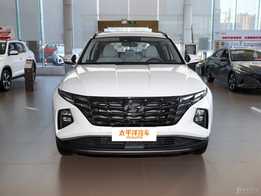極地白途勝L整車外觀外觀圖片