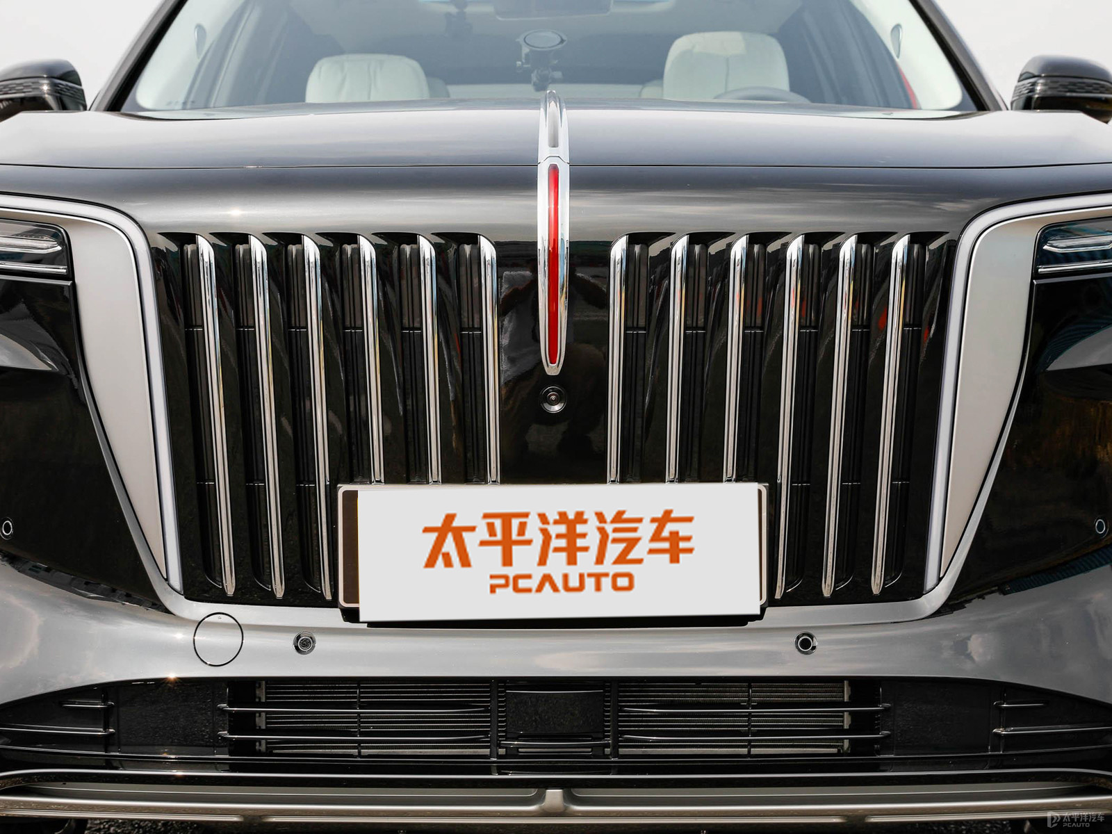 紅旗E-HS9外觀高清大圖