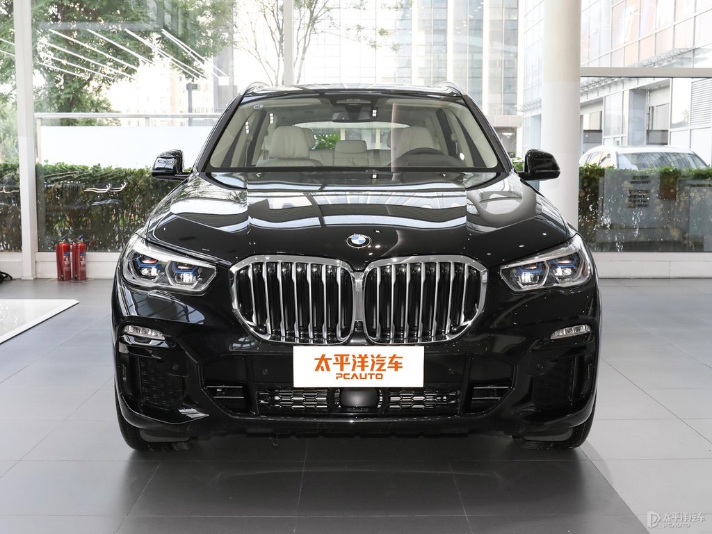 碳黑寶馬X5(進口)整車外觀外觀圖片