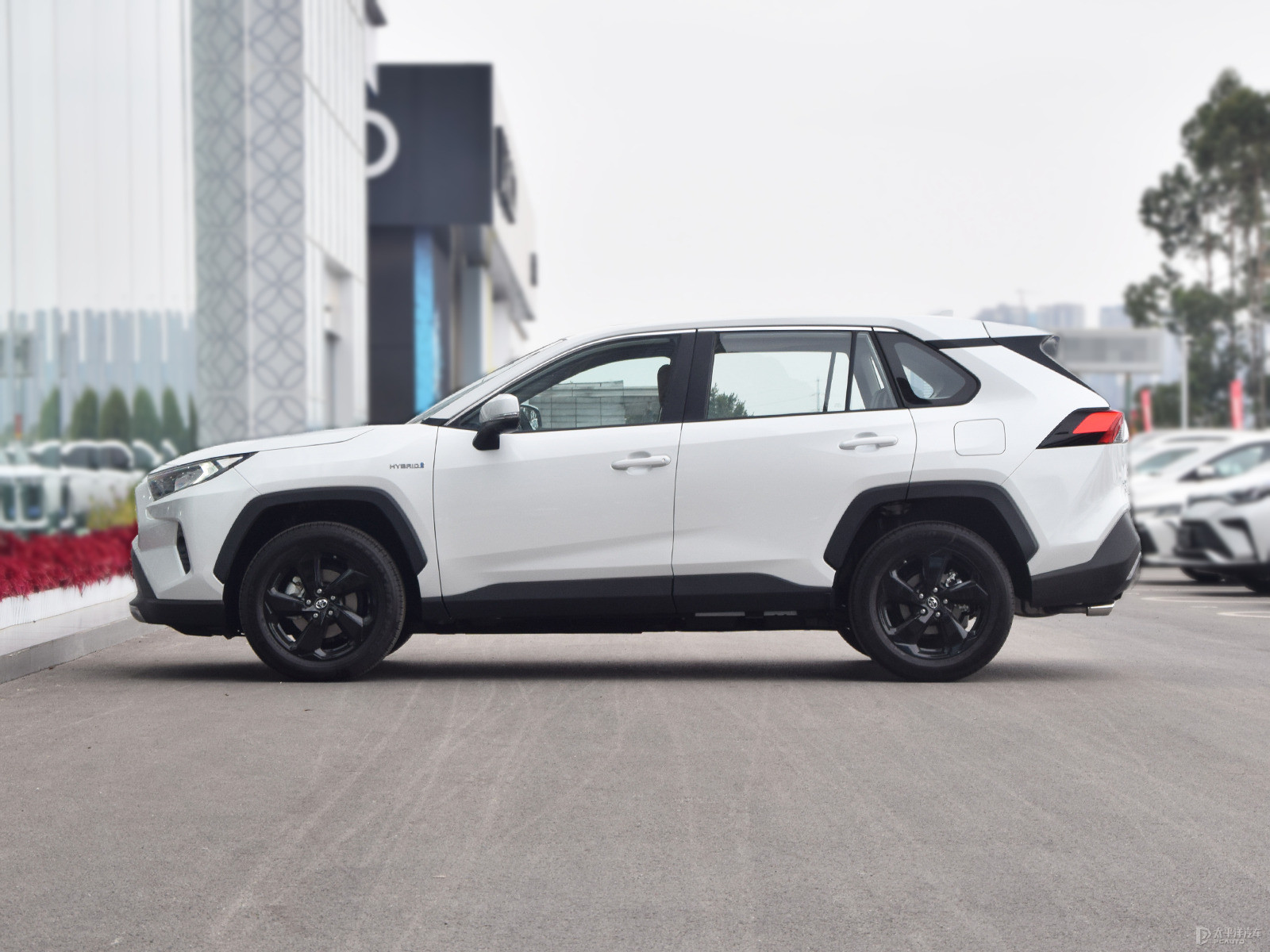RAV4榮放外觀高清大圖