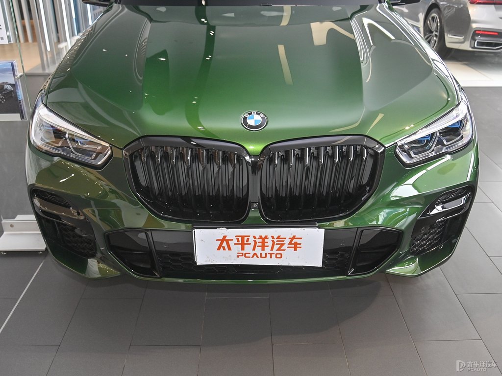 赫爾墨斯綠寶馬X5(進(jìn)口)車頭外觀圖片