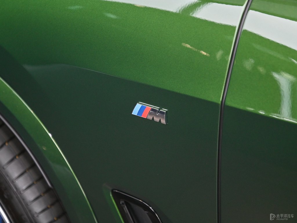 赫爾墨斯綠寶馬X5(進口)車身外觀圖片