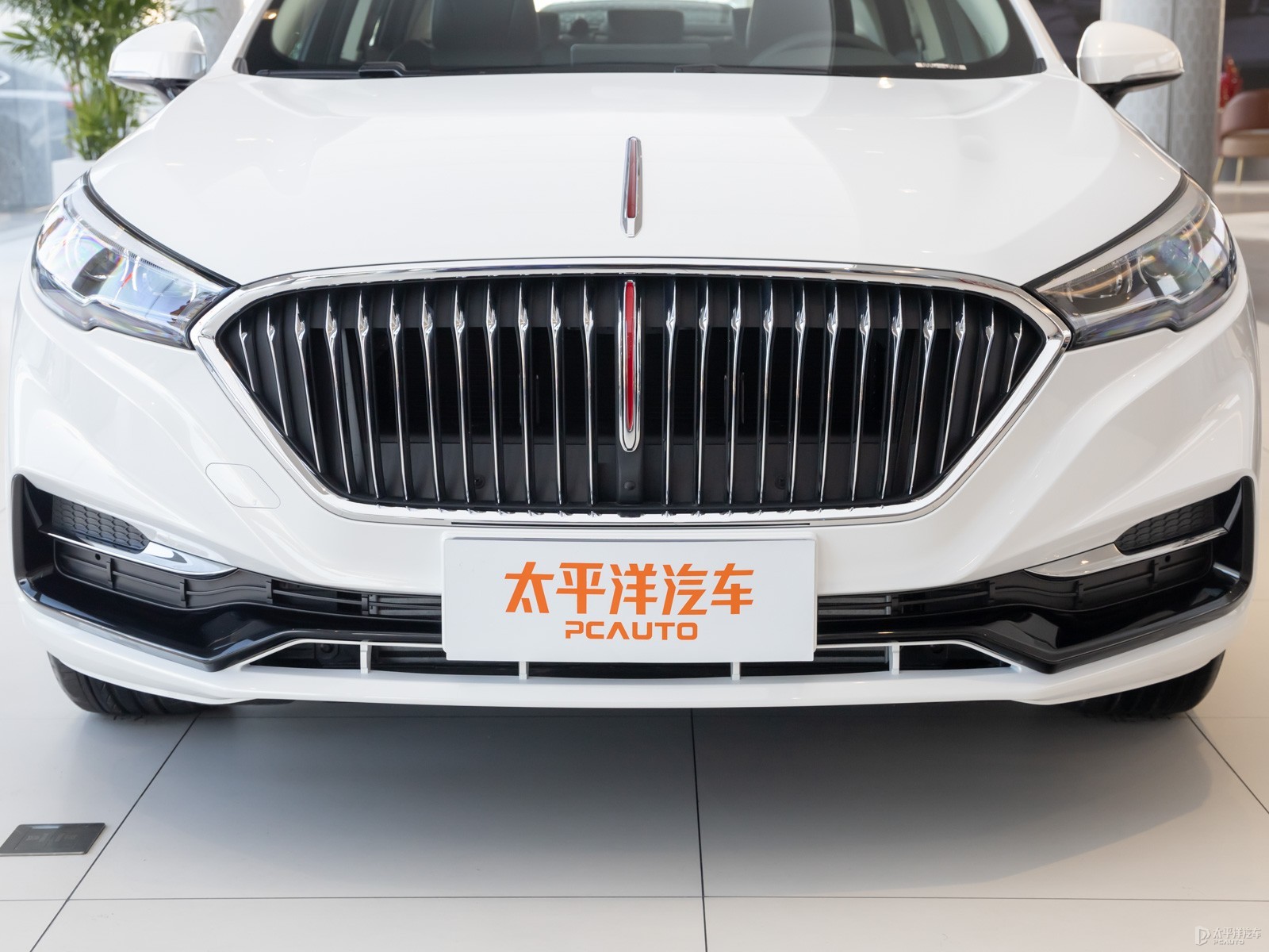 紅旗H5經(jīng)典外觀高清大圖