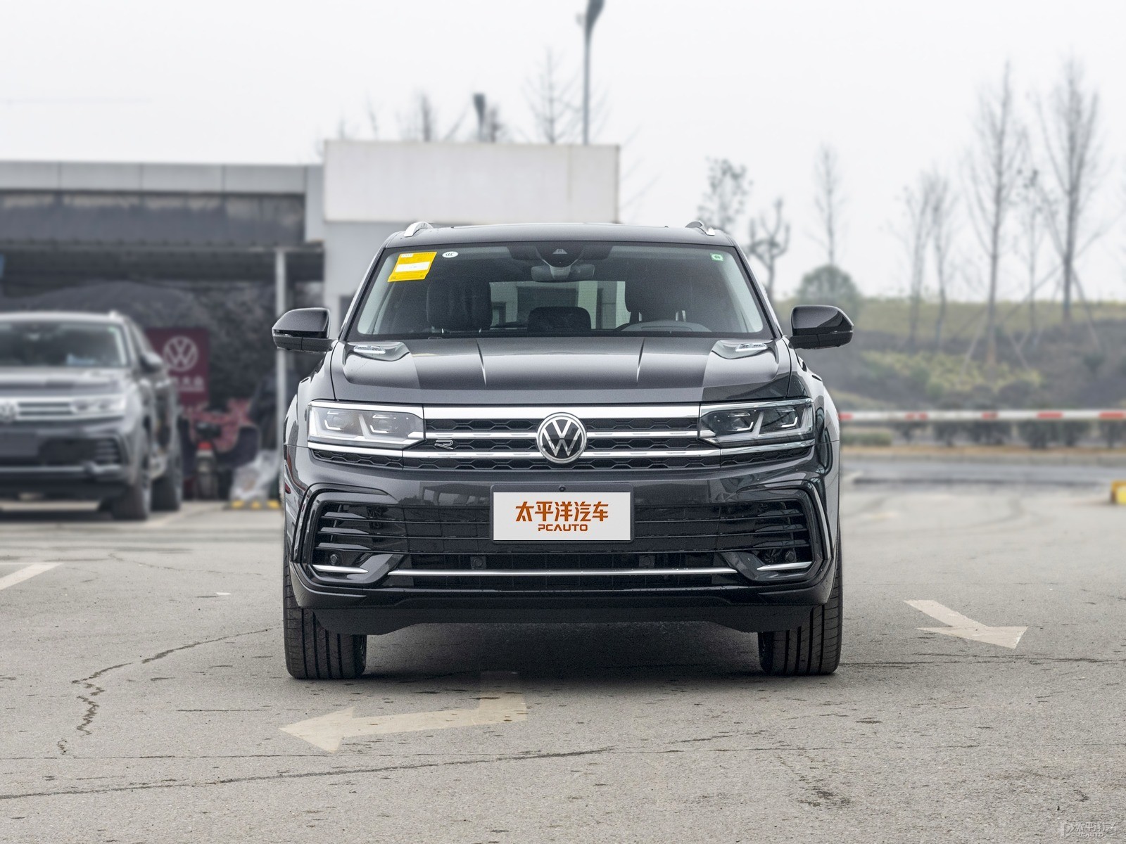 碳晶灰途昂X整車外觀外觀圖片