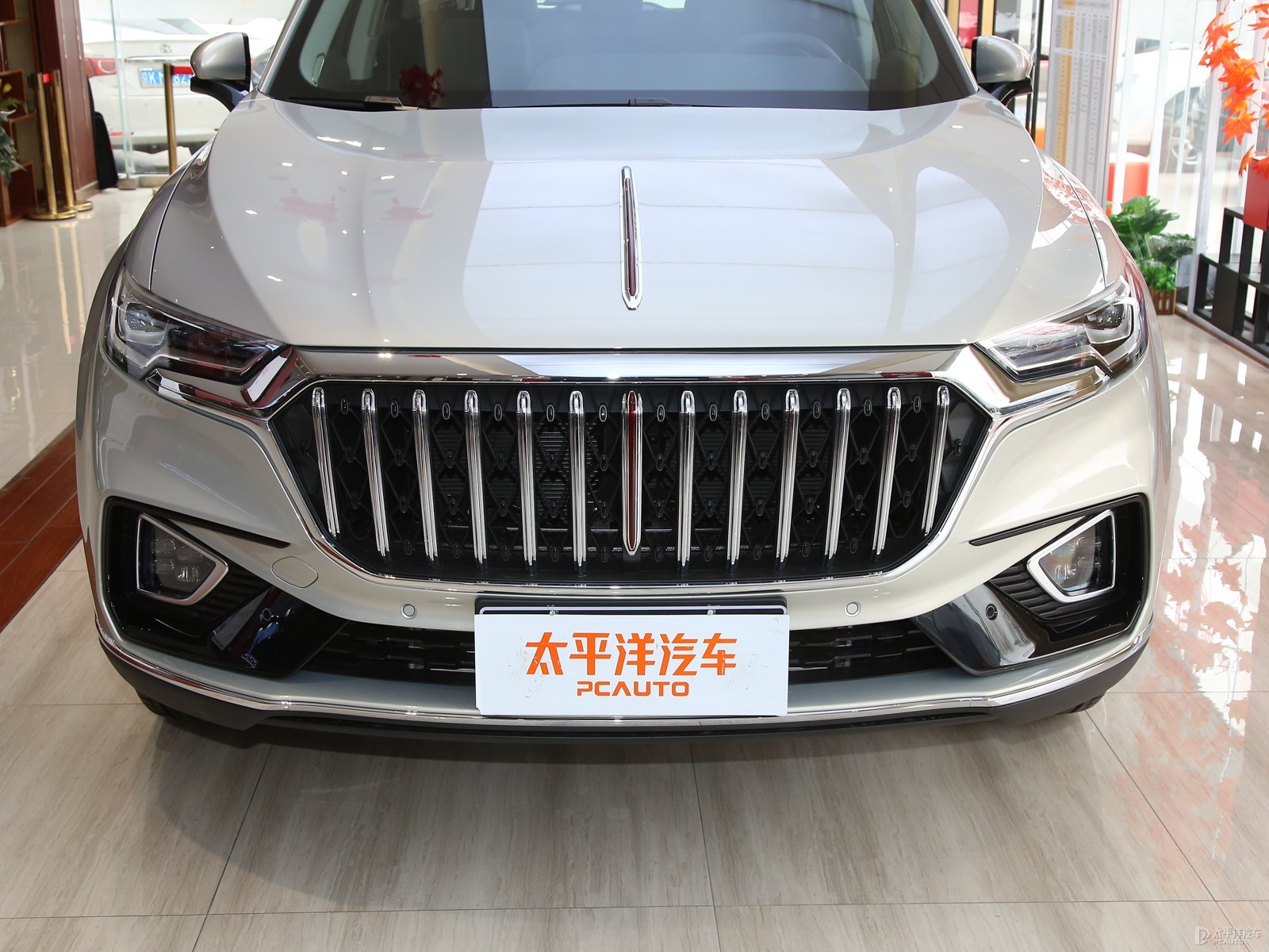 紅旗HS5外觀高清大圖