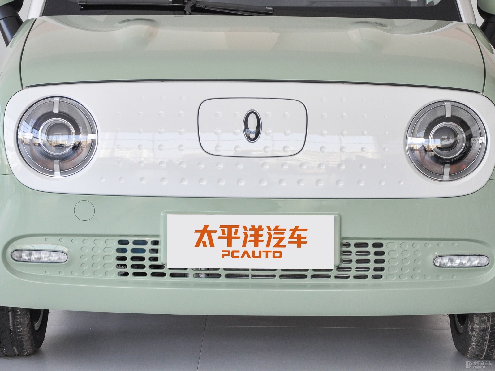 歐拉黑貓外觀高清大圖