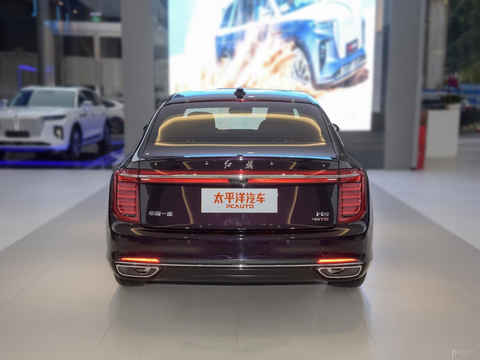 龍膽紫紅旗H9整車外觀外觀圖片