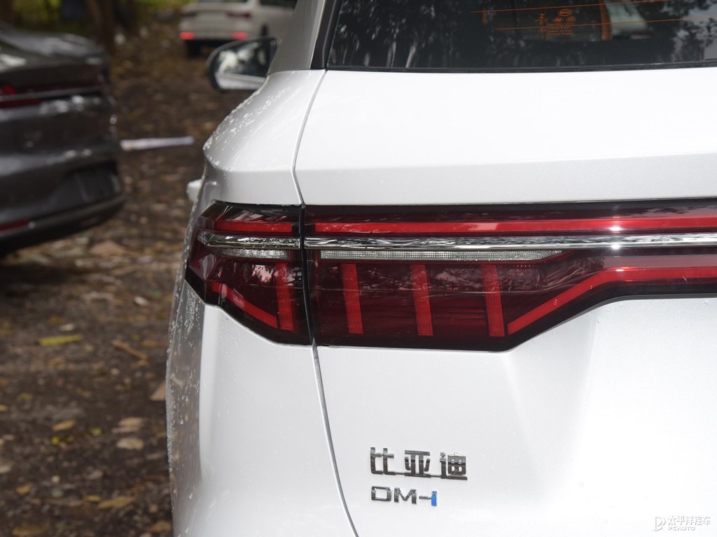 雪域白宋Pro新能源車尾外觀圖片