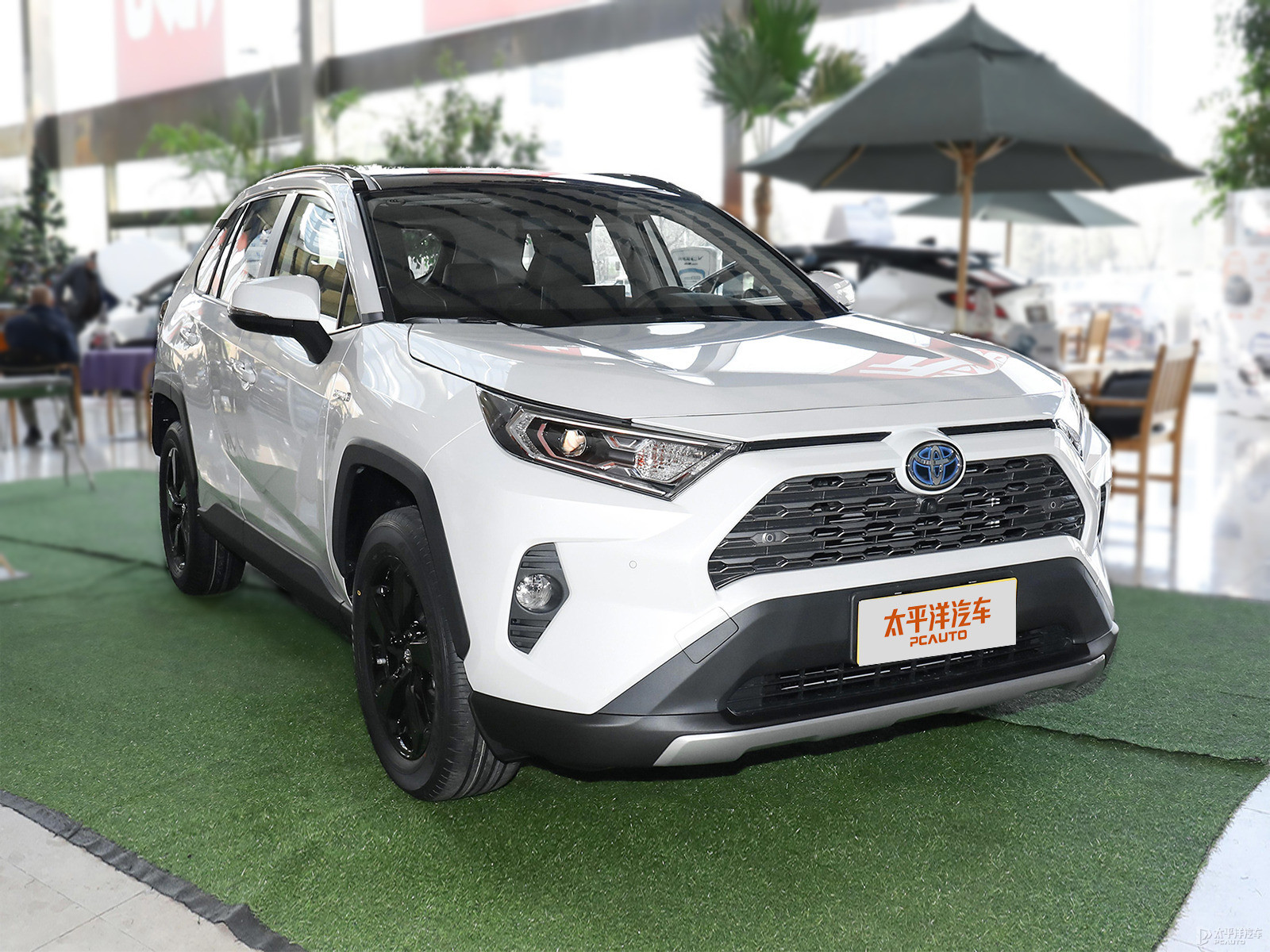 RAV4榮放外觀高清大圖