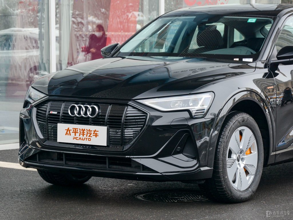 旋風(fēng)黑奧迪e-tron(進(jìn)口)車頭外觀圖片