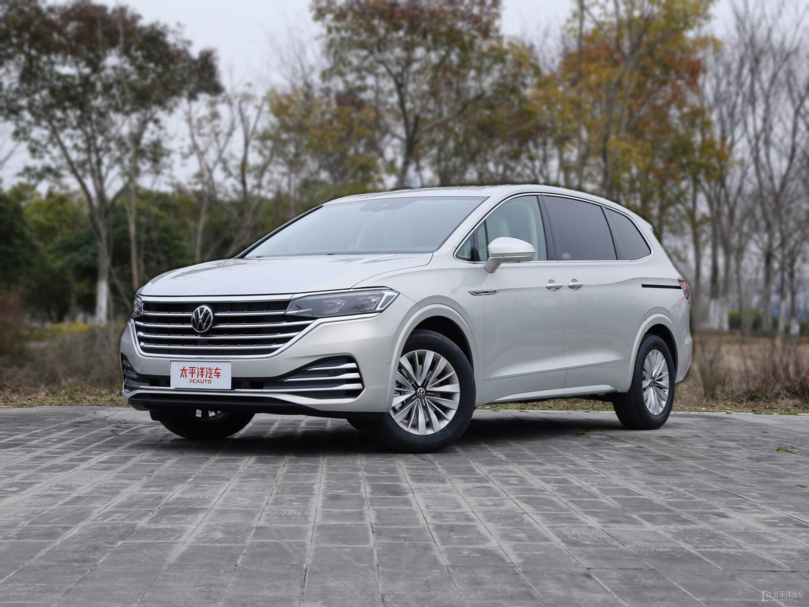 冰島銀威然整車外觀外觀圖片