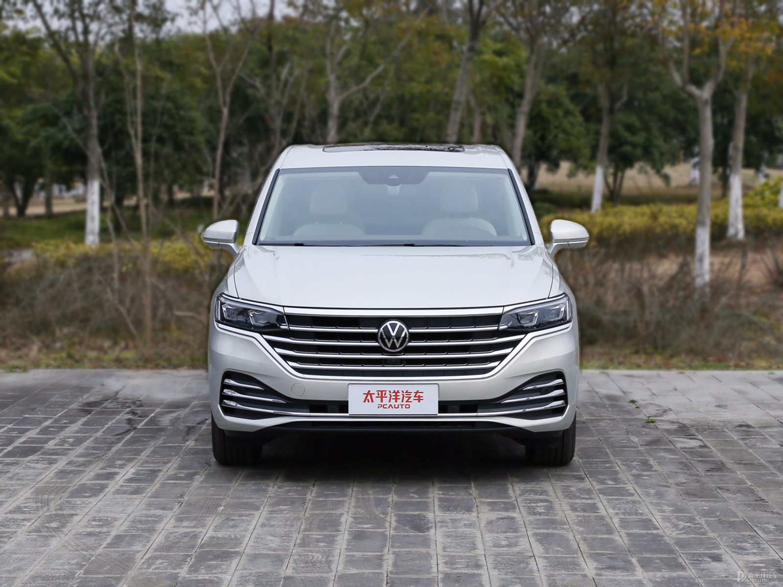 冰島銀威然整車外觀外觀圖片