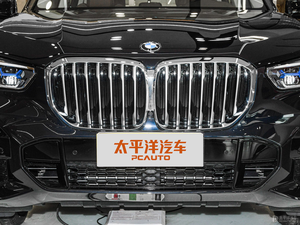 碳黑寶馬X5(進口)車頭外觀圖片
