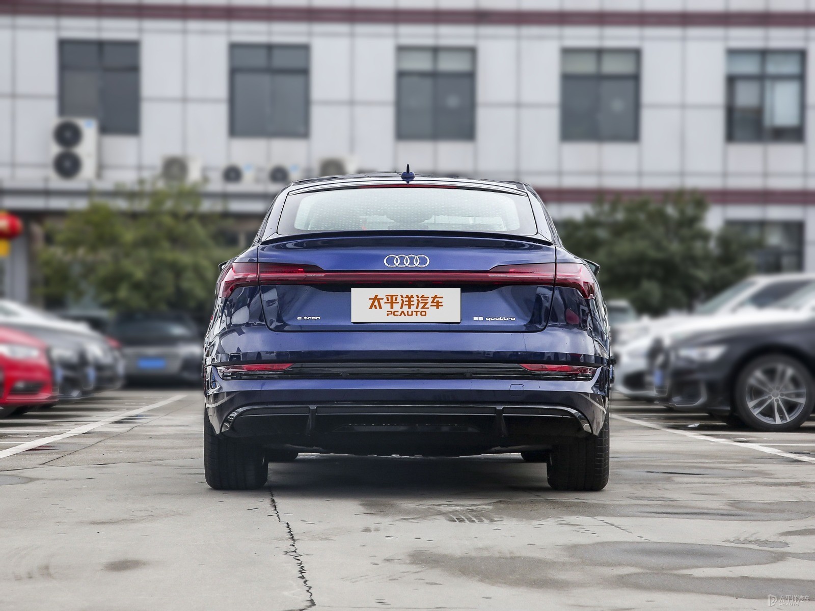 納瓦拉藍(lán)奧迪e-tron(進(jìn)口)整車外觀外觀圖片