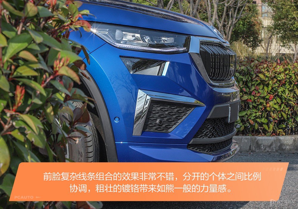 柯迪亞克圖片