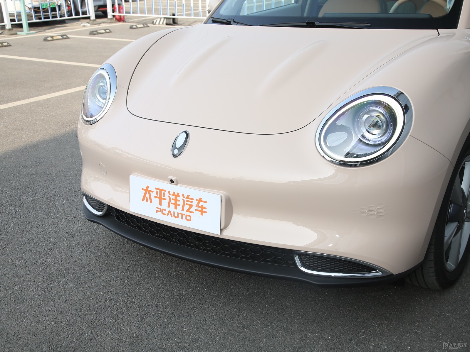 歐拉好貓外觀高清大圖
