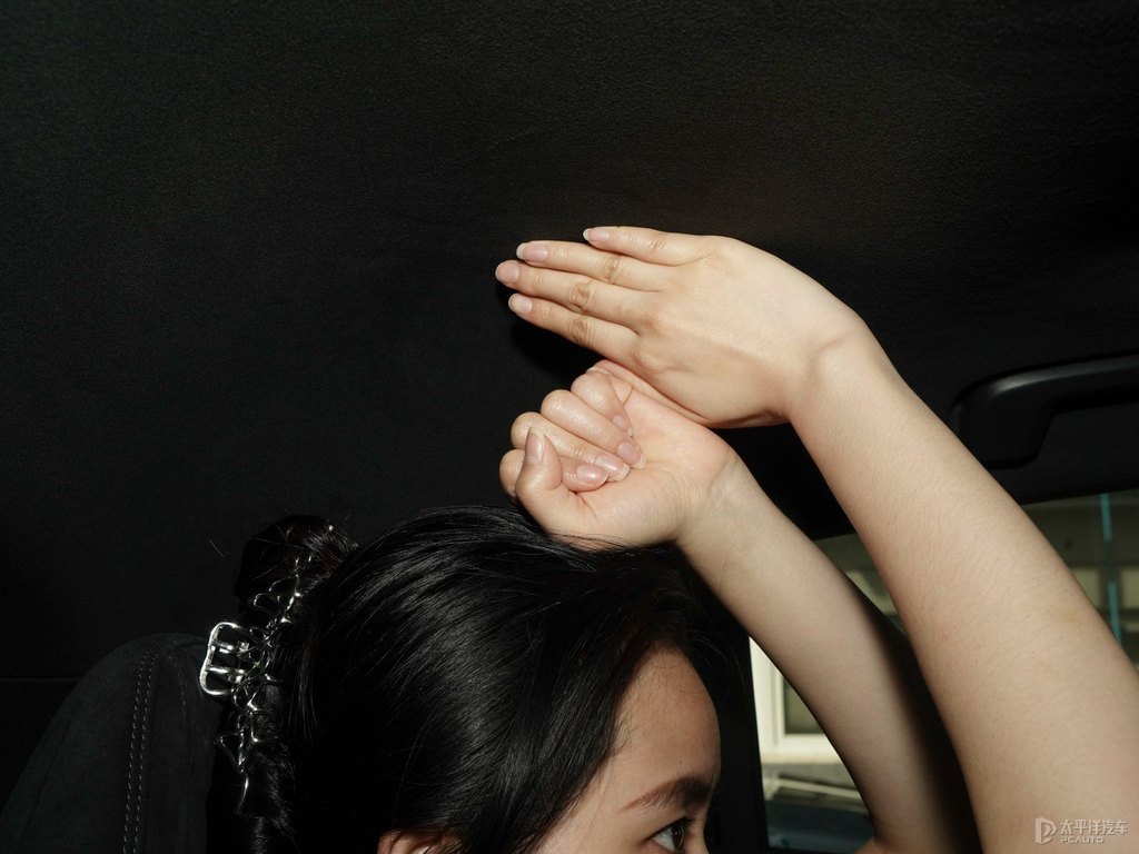 黑色+綠色領(lǐng)克05駕乘空間空間圖片