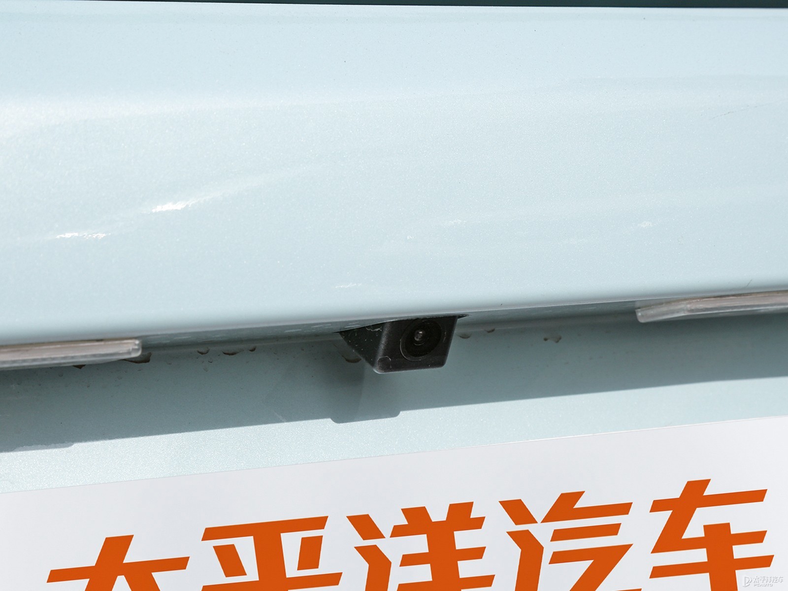雷丁芒果外觀(guān)高清大圖