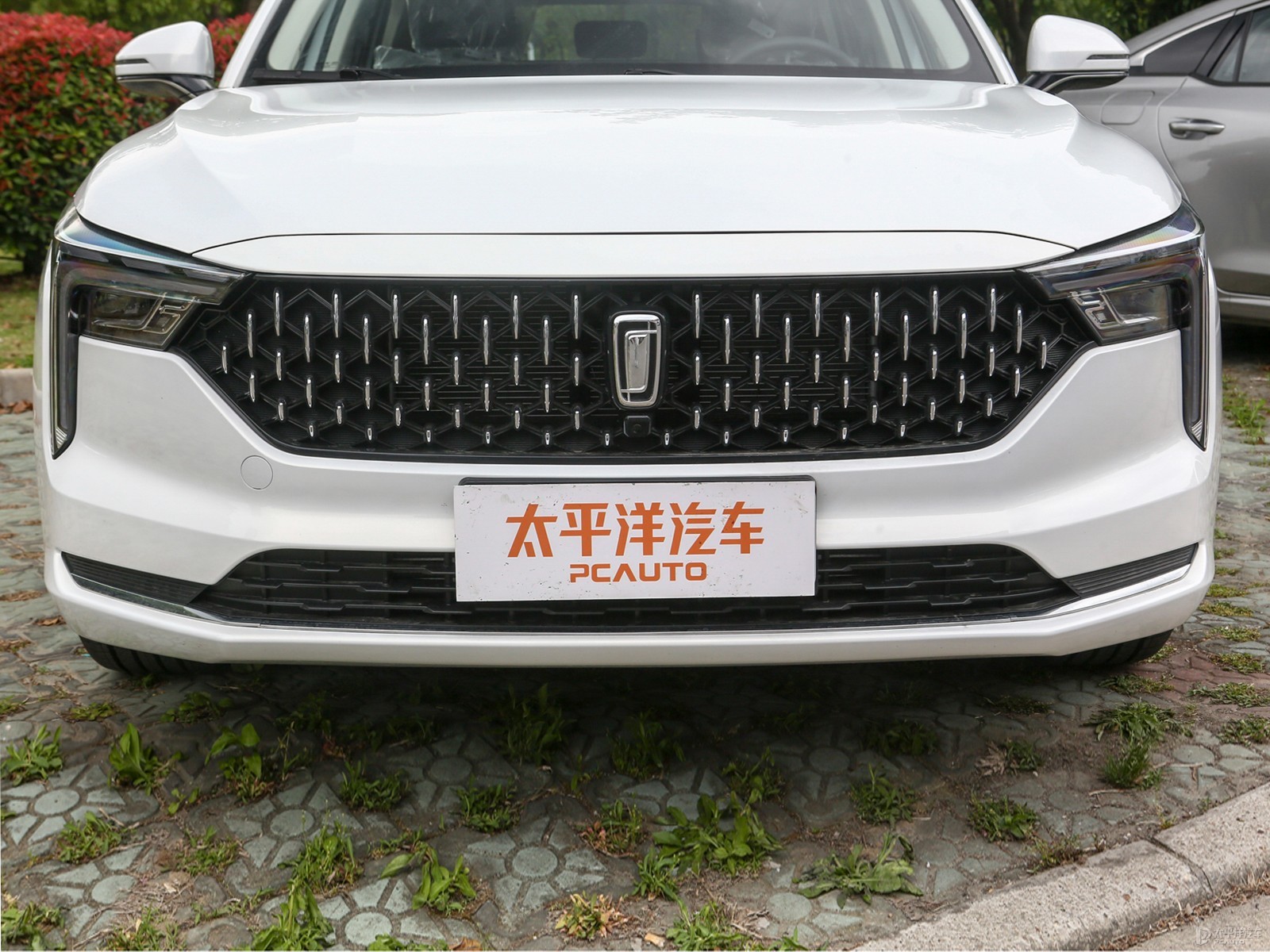 奔騰B70外觀高清大圖