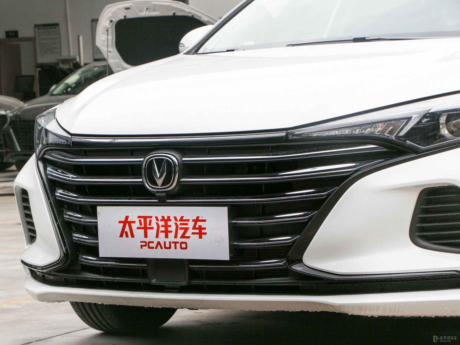 逸動(dòng)PLUS外觀高清大圖