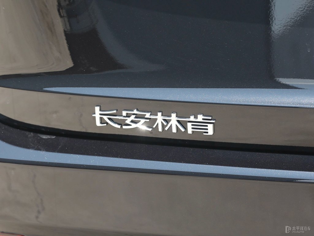 瀚金黑飛行家車尾外觀圖片