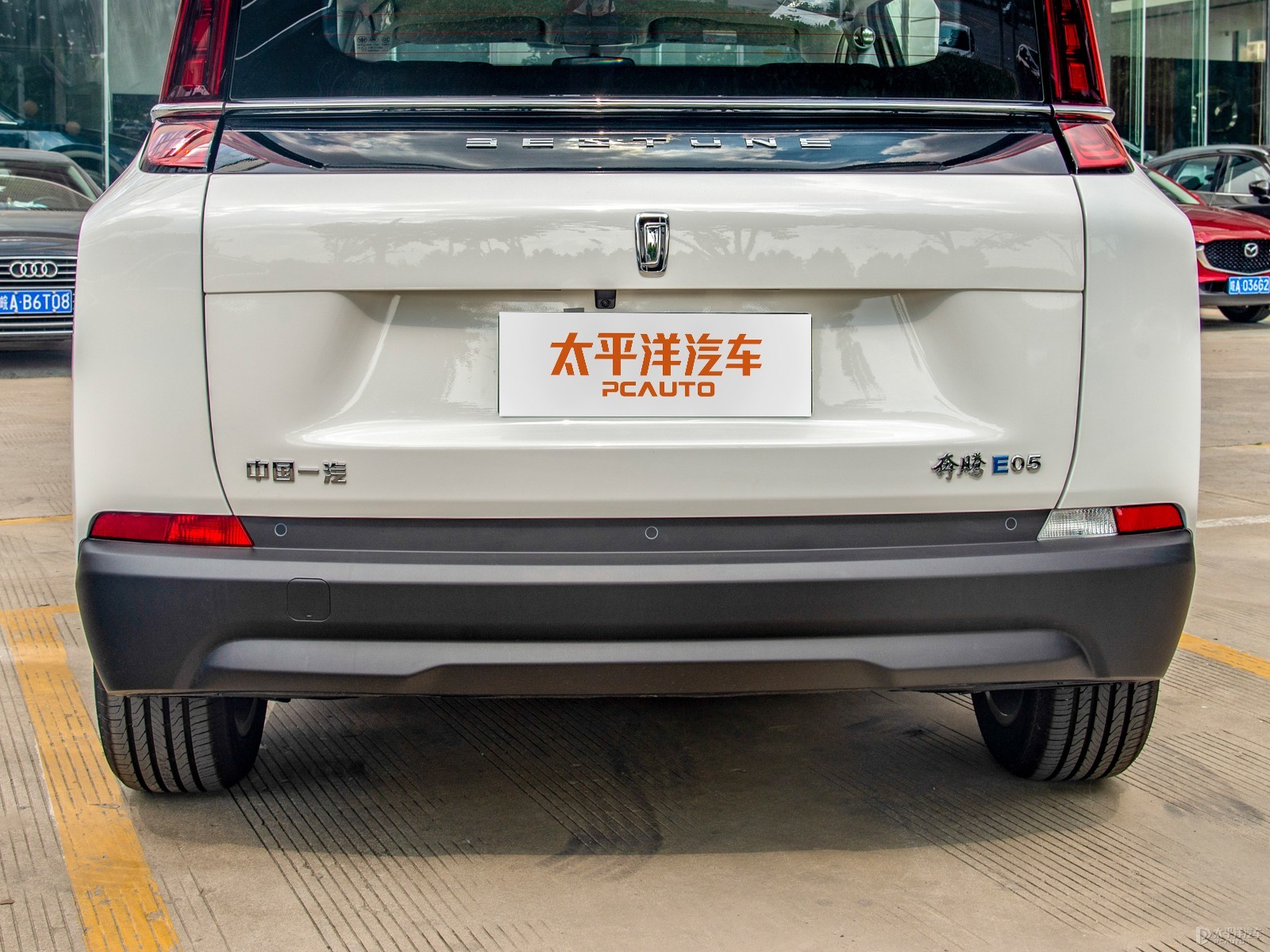 奔騰NAT外觀高清大圖