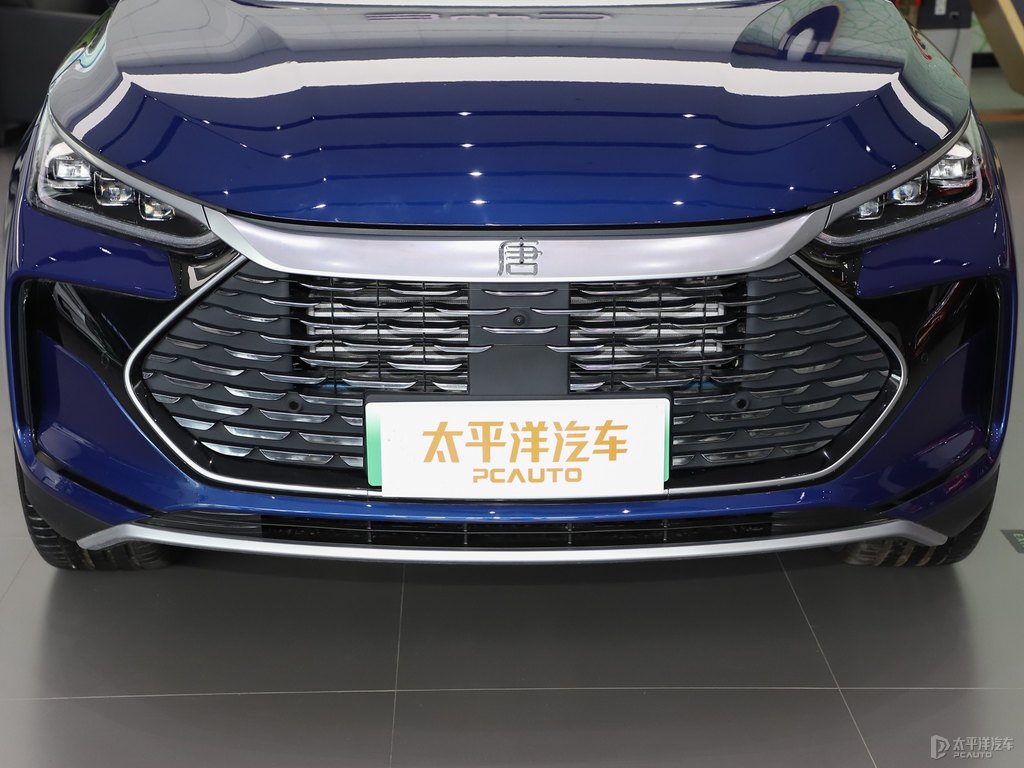 極光藍(lán)唐新能源車頭外觀圖片