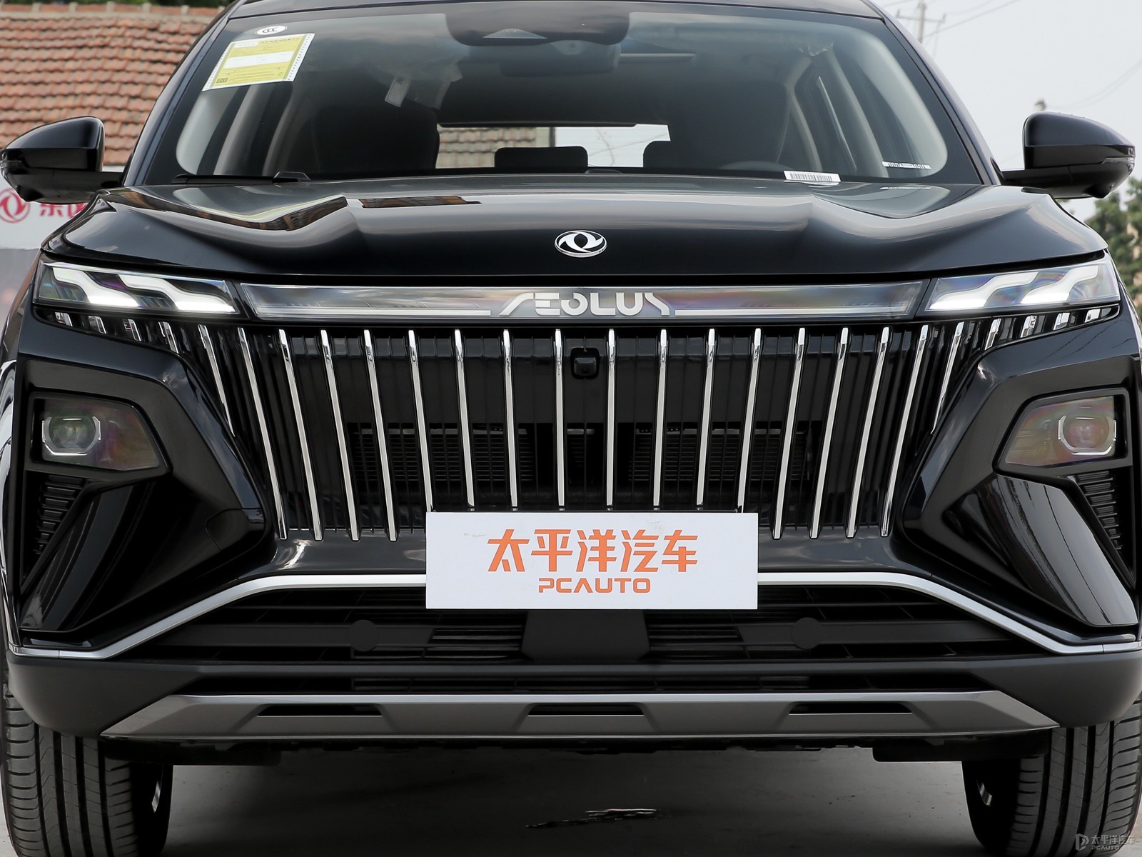 皓極外觀高清大圖